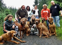 [field_gallery-nid]_[filefield-onlyname-original].[filefield-extension-original]