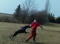 172395 199962126689925 100000284184645 676721 3643278 o