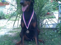 23511 105919132760892 100000284184645 146808 5442421 n 1