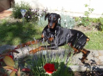 323520 261996120486525 100000284184645 981106 1507469 o