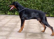 63000 158857354133736 100000284184645 411944 5139405 n