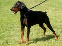 7126 101725449846927 100000284184645 48154 1239985 n 1