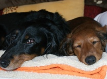 odpočinek s kámoškou