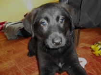 282682 2901384512914 353740200 n 1