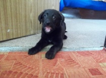 306916 2901388913024 1878313285 n 1