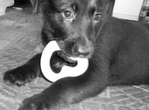 545302 2901373792646 575031393 n 1