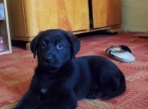 547070 2890097310741 294248572 n 1