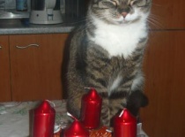 0e3c5fd144 57092817 v1 1