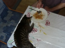 1aa670bdb3 52973148 v1 1