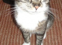 267e982654 52973347 v1