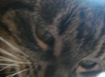 2bcf8a33df 57092825 v1