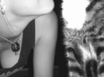 309250 203406219722449 722687 n