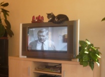 4333f14ac0 57092735 v1