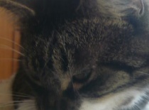 4950a3db3f 57092821 v1