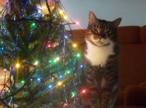 4c8b2fb0ed 57930302 v1