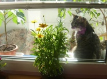 558432 2369399731081 1599265750 n