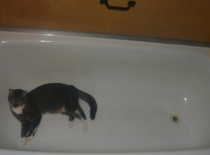 759c9b1bf2 57092782 v1