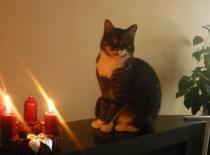 762cc965e6 57415244 v1