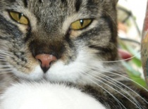 9a532bdb8c 52973426 v1