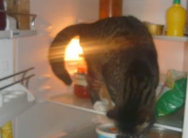 C306876484 57092801 v1