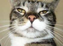 C3179749b6 52973261 v1