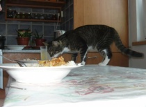 Eac2bc46ff 52973172 v1