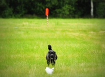 1001293 623665684319277 123144702 n