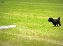 1001356 623664600986052 2033451072 n