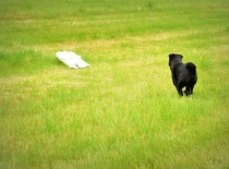 1001783 623664397652739 1526159094 n