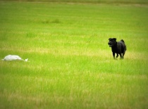 1006236 623664517652727 563531134 n