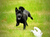 1010735 623665837652595 925788469 n