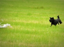 1011817 623664537652725 588631423 n