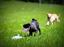 1081174 635835136435665 1573993805 n