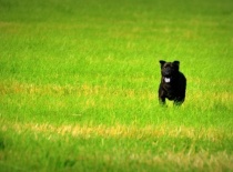 484699 628494293836416 1295906391 n