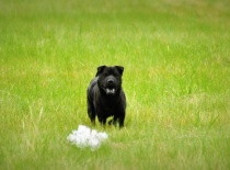 969866 623665714319274 556510809 n