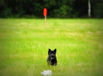 998521 623665697652609 893815571 n