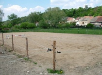 Phoca thumb l dscf2904