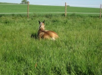 Phoca thumb l img zaslouzeny odpocinek2011