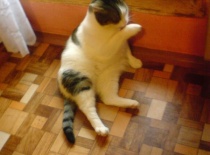 občas si sednu do velmi divné polohy...