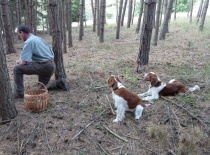 [field_gallery-nid]_[filefield-onlyname-original].[filefield-extension-original]