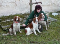 [field_gallery-nid]_[filefield-onlyname-original].[filefield-extension-original]