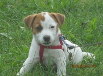 405523 2290744005826 1087869371 n