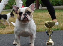 Ale Talcy,co ta uši ???????