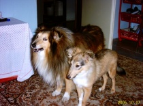 tady je ještě  malí a je tu se svojím tatou  ,bohužel ten nás  asi před 3 lety opustil 