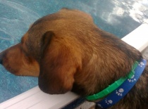 Já bych se šel táák koupat :-))