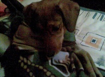 Co mě zase rušíte