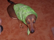 Chtěli zemně mít babičku 