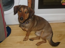 Tak spadne ti něco nebo ne :-)