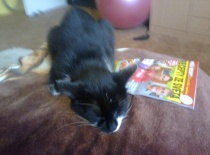 Jsem se unavila při čtení 