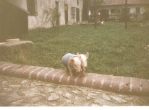 Hpqscan0002   kopie   kopie